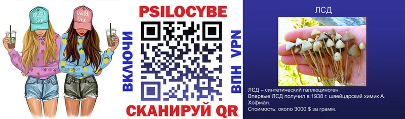 Галлюциногенные грибы мицелий Лениногорск